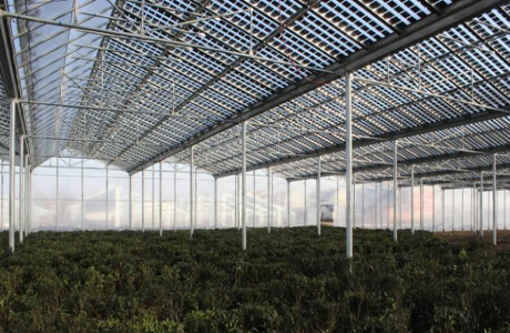 200MW Argricultural Solar Greenhouse Farm